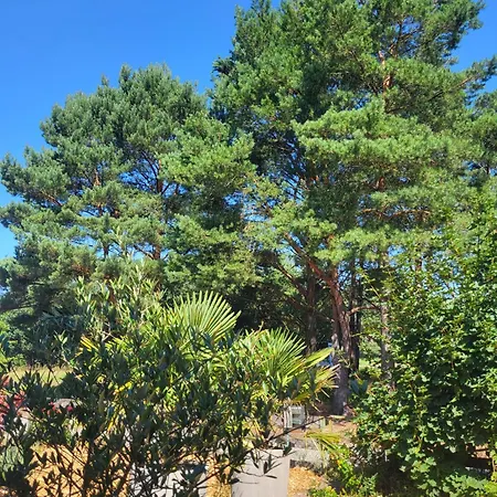 Aufatmen In Ahlbeck * Ahlbeck (Vorpommern-Greifswald)