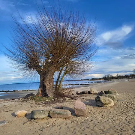 Apartamento Aufatmen In Ahlbeck